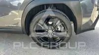 2022 Lexus UX250