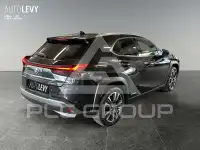 2022 Lexus UX250