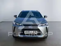2022 Lexus UX250