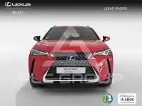 2022 Lexus UX250