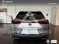 2022 Lexus UX250