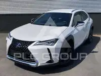 2022 Lexus UX250