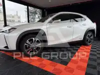 2022 Lexus UX250