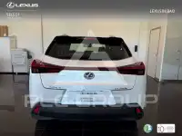 2022 Lexus UX250
