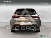 2022 Lexus UX250