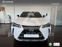 2022 Lexus UX250