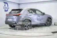2022 Lexus UX250