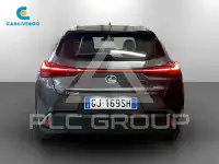 2022 Lexus UX250