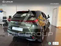 2022 Lexus UX250