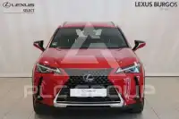 2022 Lexus UX250