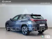 2022 Lexus UX250