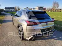 2022 Lexus UX250
