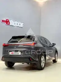 2022 Lexus UX250