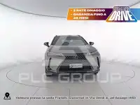 2022 Lexus UX250