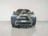 2022 Lexus UX250