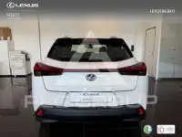 2022 Lexus UX250