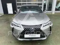 2022 Lexus UX250
