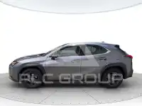 2022 Lexus UX250