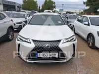 2022 Lexus UX250