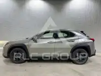 2022 Lexus UX250