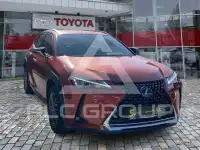 2022 Lexus UX250