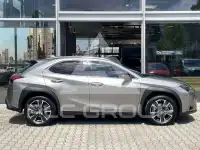 2022 Lexus UX250