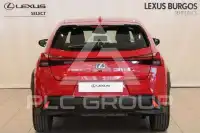 2022 Lexus UX250