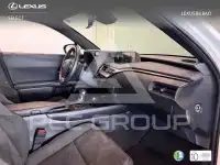 2022 Lexus UX250