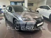2022 Lexus UX250