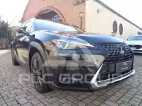 2022 Lexus UX250