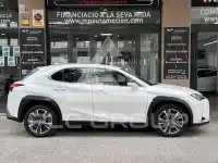 2022 Lexus UX250
