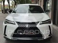 2022 Lexus UX250