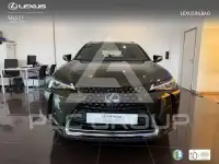 2022 Lexus UX250