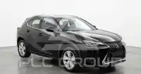 2022 Lexus UX250