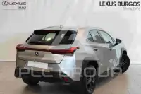 2022 Lexus UX250