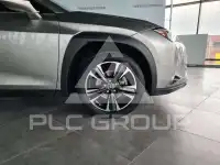 2022 Lexus UX250