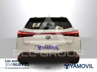 2022 Lexus UX250