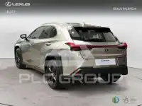 2022 Lexus UX250
