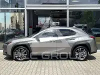 2022 Lexus UX250