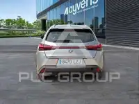2022 Lexus UX250