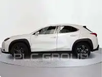 2022 Lexus UX250
