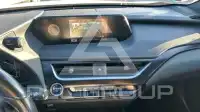 2022 Lexus UX250