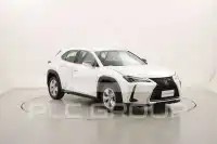 2022 Lexus UX250
