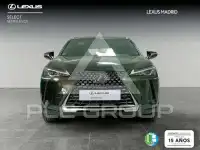 2022 Lexus UX250