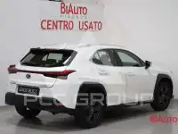2022 Lexus UX250