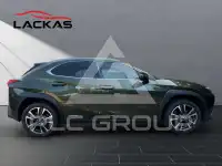 2022 Lexus UX250