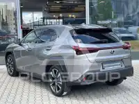 2022 Lexus UX250