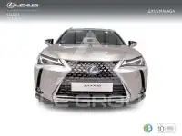 2022 Lexus UX250