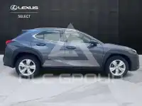 2022 Lexus UX250