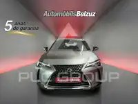 2022 Lexus UX250